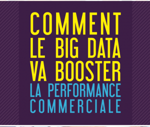 ZEBAZ_Livre_Blanc-_Big-Data-performance-commerciale_pdf__page_1_sur_42_