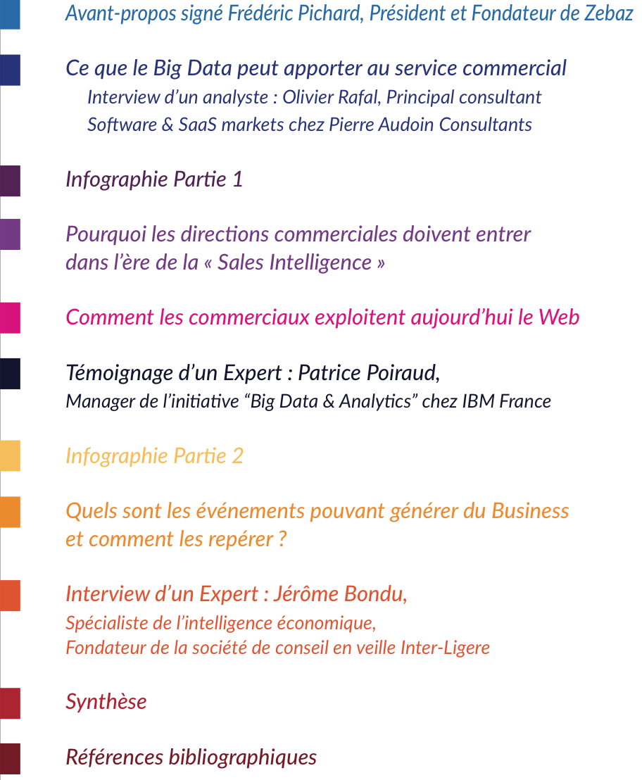 ZEBAZ_Livre_Blanc-_Big-Data-performance-commerciale_sommaire_pdf